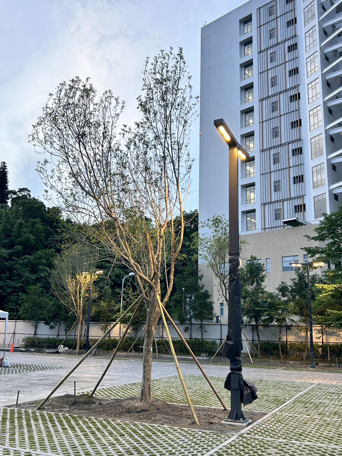 台北榮總